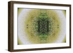 Unnatural 6.1-Giovanni Cafagna-Framed Giclee Print