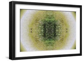 Unnatural 6.1-Giovanni Cafagna-Framed Giclee Print