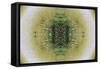 Unnatural 6.1-Giovanni Cafagna-Framed Stretched Canvas