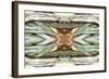 Unnatural 64-Giovanni Cafagna-Framed Giclee Print