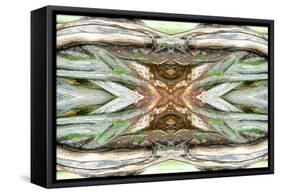 Unnatural 64-Giovanni Cafagna-Framed Stretched Canvas