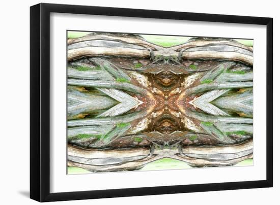 Unnatural 64-Giovanni Cafagna-Framed Giclee Print