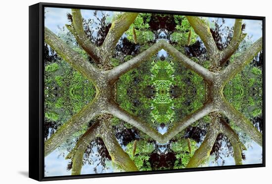 Unnatural 65.2-Giovanni Cafagna-Framed Stretched Canvas