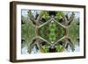 Unnatural 65.2-Giovanni Cafagna-Framed Giclee Print