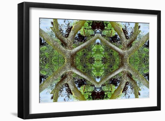 Unnatural 65.2-Giovanni Cafagna-Framed Giclee Print