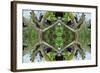 Unnatural 65.2-Giovanni Cafagna-Framed Giclee Print