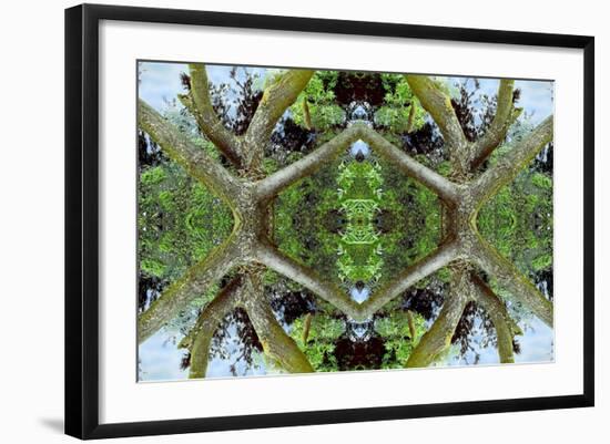 Unnatural 65.2-Giovanni Cafagna-Framed Giclee Print