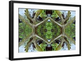 Unnatural 65.2-Giovanni Cafagna-Framed Giclee Print