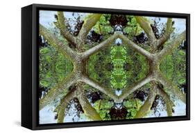 Unnatural 65.2-Giovanni Cafagna-Framed Stretched Canvas