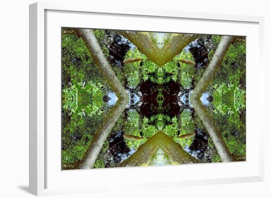 Unnatural 65.3-Giovanni Cafagna-Framed Giclee Print