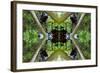 Unnatural 65.3-Giovanni Cafagna-Framed Giclee Print