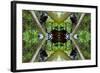 Unnatural 65.3-Giovanni Cafagna-Framed Giclee Print