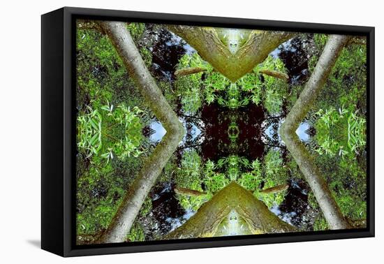 Unnatural 65.3-Giovanni Cafagna-Framed Stretched Canvas