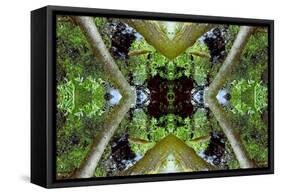 Unnatural 65.3-Giovanni Cafagna-Framed Stretched Canvas