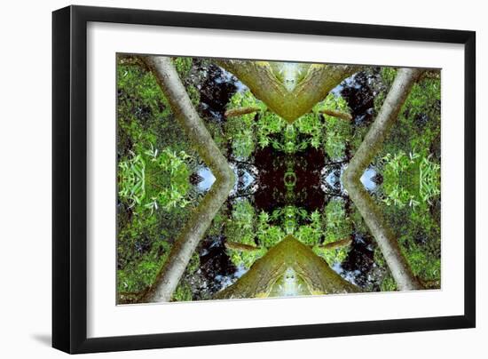 Unnatural 65.3-Giovanni Cafagna-Framed Giclee Print