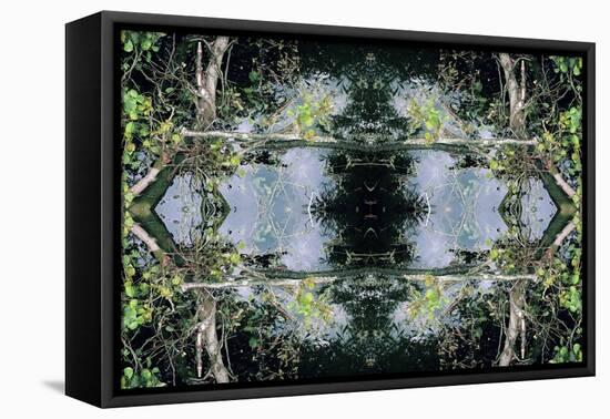 Unnatural 73-Giovanni Cafagna-Framed Stretched Canvas