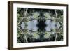 Unnatural 73-Giovanni Cafagna-Framed Giclee Print