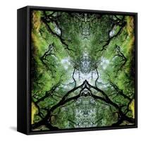 Unnatural 75-Giovanni Cafagna-Framed Stretched Canvas