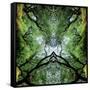 Unnatural 75-Giovanni Cafagna-Framed Stretched Canvas