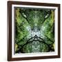 Unnatural 75-Giovanni Cafagna-Framed Giclee Print