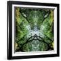 Unnatural 75-Giovanni Cafagna-Framed Giclee Print