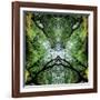 Unnatural 75-Giovanni Cafagna-Framed Giclee Print