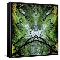 Unnatural 75-Giovanni Cafagna-Framed Stretched Canvas