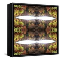 Unnatural 77.1-Giovanni Cafagna-Framed Stretched Canvas