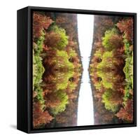 Unnatural 77-Giovanni Cafagna-Framed Stretched Canvas