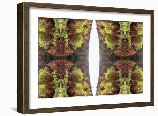 Unnatural 81-Giovanni Cafagna-Framed Giclee Print