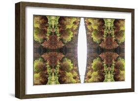 Unnatural 81-Giovanni Cafagna-Framed Giclee Print