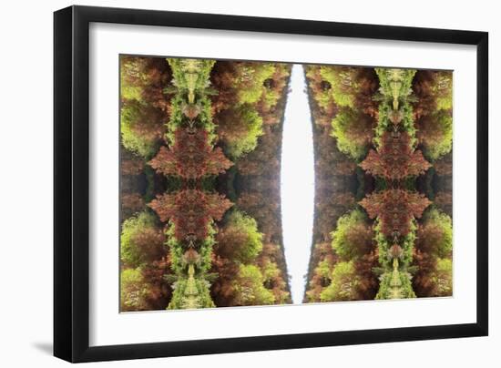 Unnatural 81-Giovanni Cafagna-Framed Giclee Print