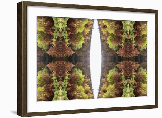 Unnatural 81-Giovanni Cafagna-Framed Giclee Print