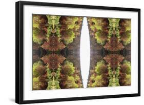 Unnatural 81-Giovanni Cafagna-Framed Giclee Print