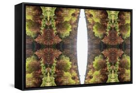 Unnatural 81-Giovanni Cafagna-Framed Stretched Canvas