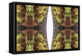Unnatural 81-Giovanni Cafagna-Framed Stretched Canvas