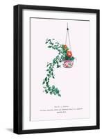 Uno-Hana And Shakuyaku (Scabra & Herbaceous Peony) In a Suspended Porcelain Bowl-Josiah Conder-Framed Art Print