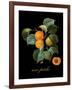 Unpeche-Mindy Sommers-Framed Giclee Print