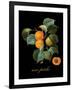 Unpeche-Mindy Sommers-Framed Giclee Print