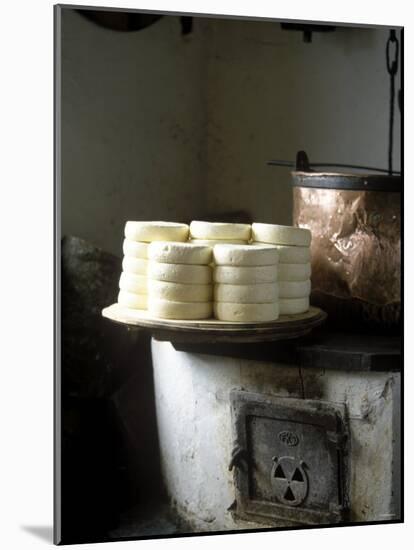 Unripe Munster Cheese-Joerg Lehmann-Mounted Photographic Print