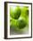 Unripe Oranges with Drops of Water-Toni Eichhorn-Framed Photographic Print