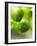 Unripe Oranges with Drops of Water-Toni Eichhorn-Framed Photographic Print