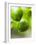 Unripe Oranges with Drops of Water-Toni Eichhorn-Framed Photographic Print