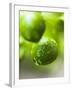 Unripe Oranges with Drops of Water-Toni Eichhorn-Framed Photographic Print