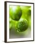 Unripe Oranges with Drops of Water-Toni Eichhorn-Framed Photographic Print