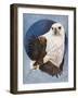 Unrivaled-Barbara Keith-Framed Giclee Print