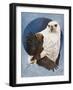 Unrivaled-Barbara Keith-Framed Giclee Print