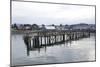 Unsafe Dock-Dana Styber-Mounted Photographic Print