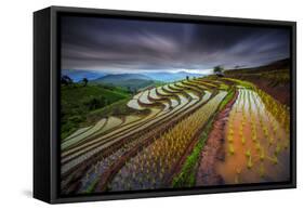 Unseen Rice Filed-Tetra-Framed Stretched Canvas