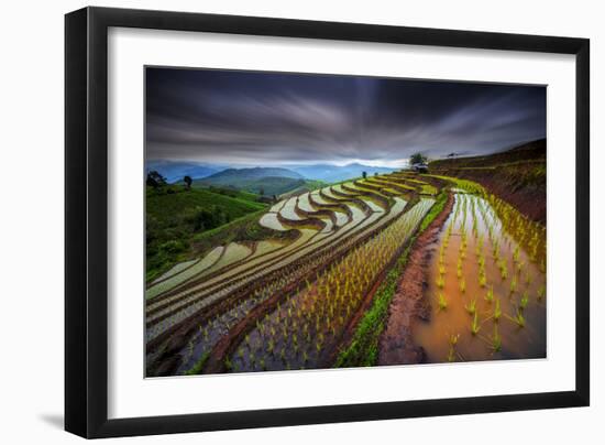 Unseen Rice Filed-Tetra-Framed Photographic Print